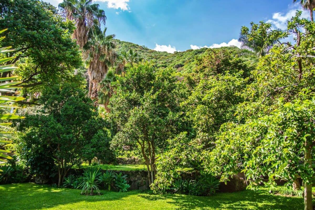 Casa Galeana- Tropical 1-Bd 1-Wc Mountain Top Luxury Suite With Stunning Views Ajijic Exterior foto